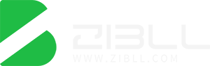 子比演示
